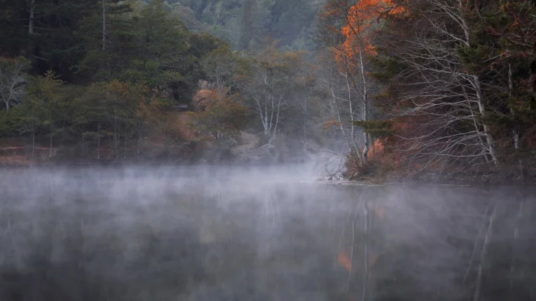 Phoenix Lake