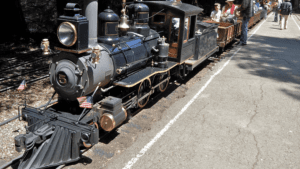 Redwood Valley Railroad.