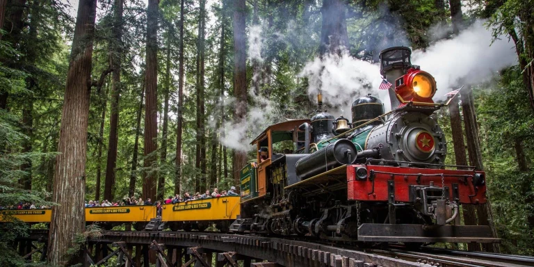 Roaring Camp Railroads