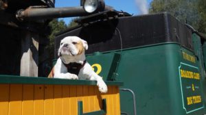 Roaring Camp Railroads. Photo by Visit Santa Cruz