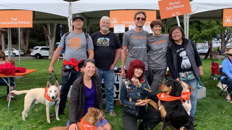 Rocket Dog Rescue