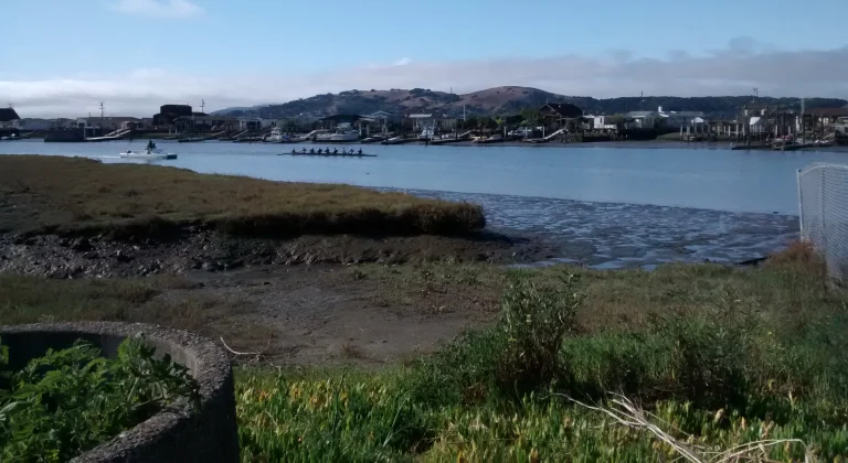 Corte Madera Creek Multi-Use