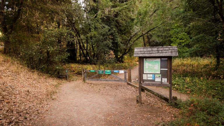 Roy's Redwoods Open Space, a dog-friendly hiking trail in San Geronimo, California