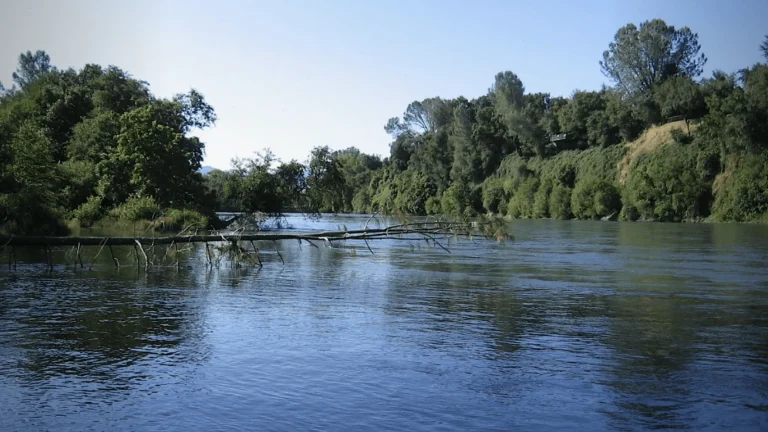 John Reginato River Access