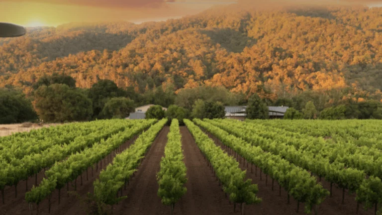 Solis Winery