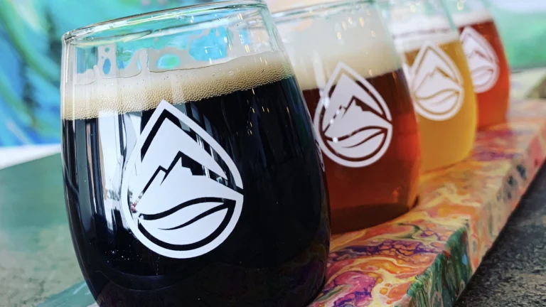Distant Brewing, a dog-friendly bar in Mammoth Lakes, California