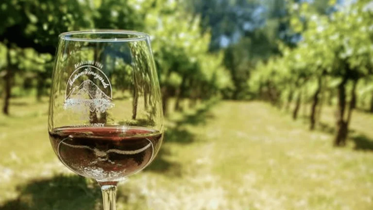 Matson Vineyards