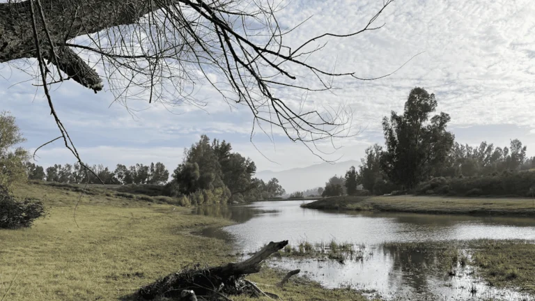 Prado Recreation Dog Park