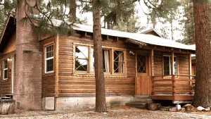 Sleepy Forest Cottages