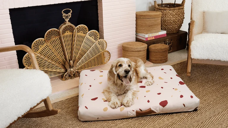 Les Cactus Palm Springs, a dog-friendly hotel in Palm Springs, California