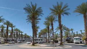 Palm Springs RV resort