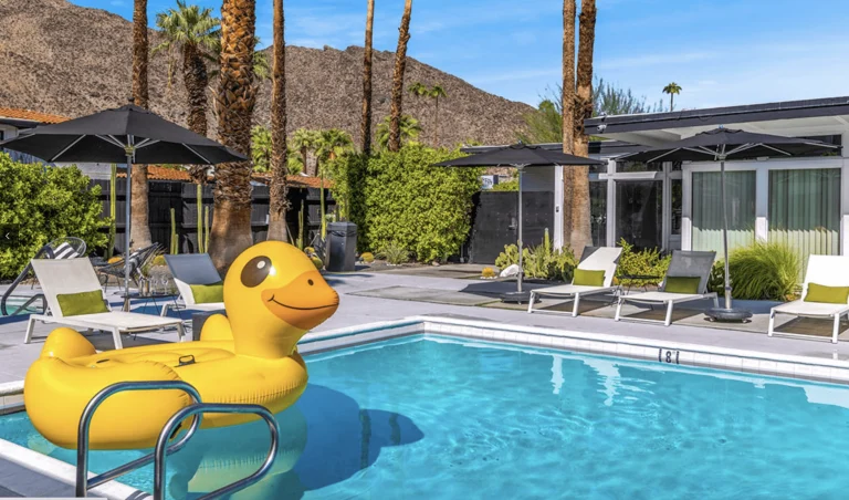 The Three Fifty Hotel, a dog-friendly hotel in Palm Springs, California