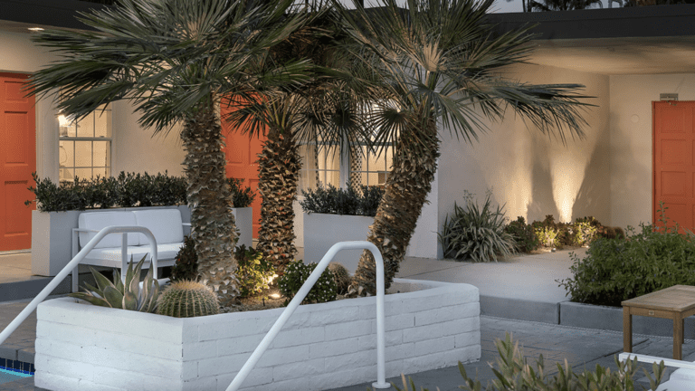 palm trees and pool