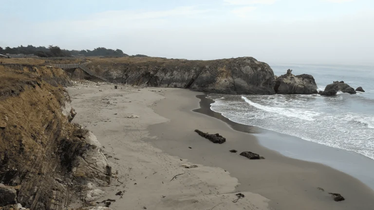 Walk On Beach Sea
