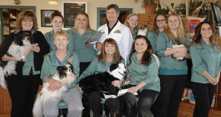 All Creatures Animal Hospital, a dog-friendly veterinary clinic in Crescent City, California