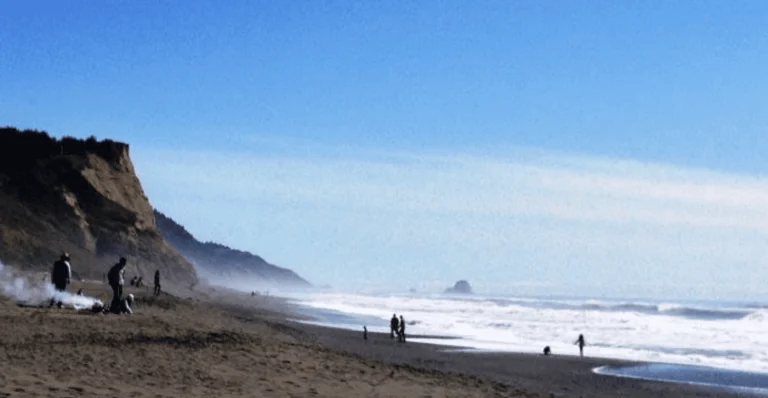 Centerville Beach County Park, a dog-friendly beach in Ferndale, California