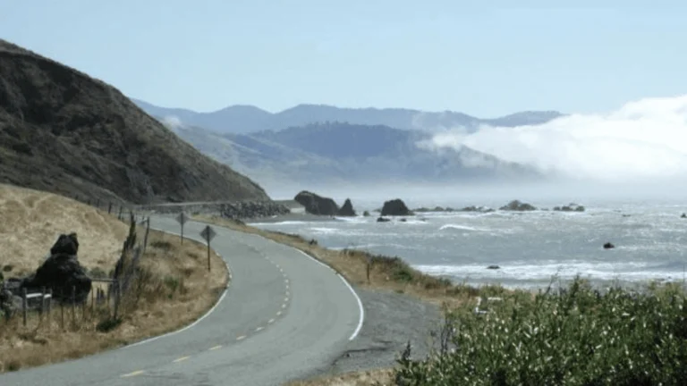 Mattole Road Beaches, a dog-friendly beach in Petrolia, California