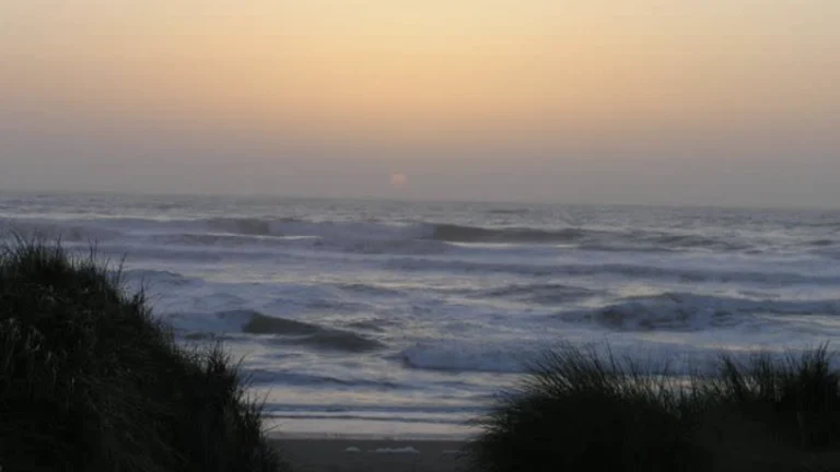 Samoa Dunes Recreation Area, a dog-friendly beach in Samoa, California