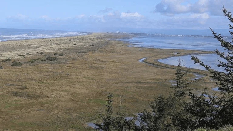 South Humboldt Bay, a dog-friendly beach in Eureka, California