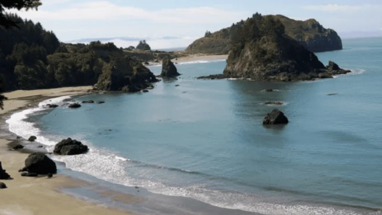 Trinidad State Beach