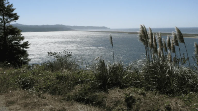 Dry Lagoon - Humboldt, a dog-friendly hiking trail in Trinidad, California