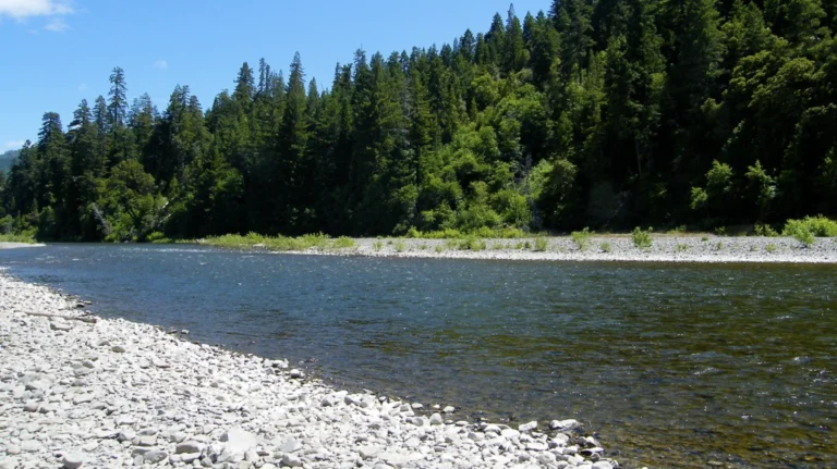 Benbow State Recreation Area, a dog-friendly hiking trail in Garberville, California