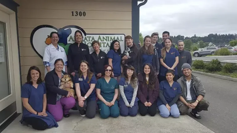 Arcata Animal Hospital, a dog-friendly veterinary clinic in Arcata, California