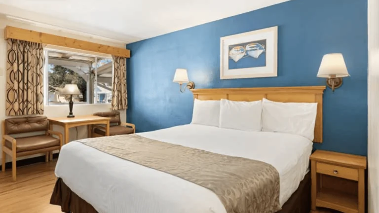 Skylark Shores Resort, a dog-friendly hotel in Lakeport, California