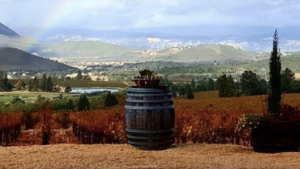 View from Laujor estate tasting table.