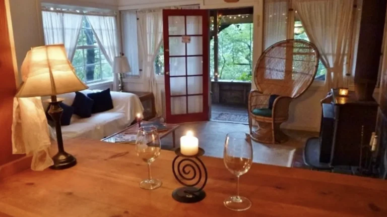 Enchanted Cottage and Suite, a dog-friendly lodging in Calistoga, California