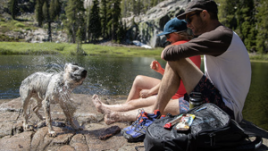 A man and a dog sitting on a rock next to a lake.