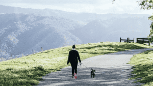 woman hikes with dog on leash at Del Valle Regional Park.