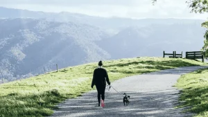 Del Valle Regional Park, a dog-friendly hiking trail in Livermore, California
