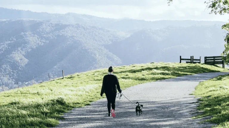 Del Valle Regional Park