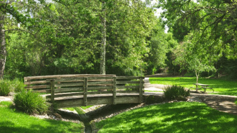 Shannon Hills Park