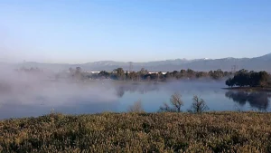 Prado Regional Park