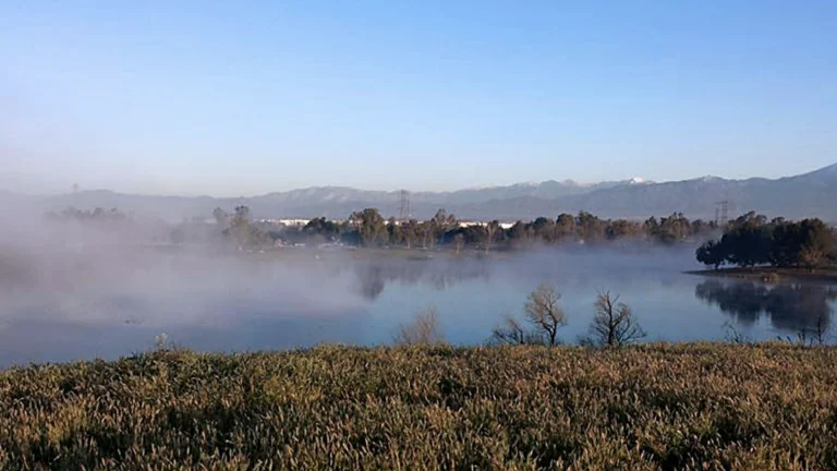 Prado Regional Park, a dog-friendly campground in Chino, California