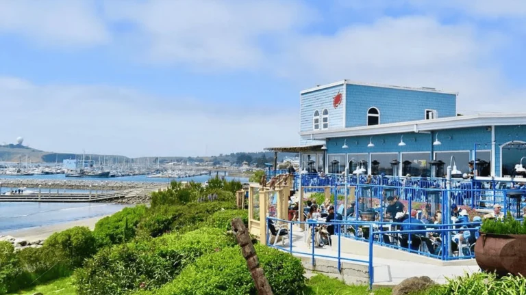 Sam's Chowder House, a dog-friendly restaurant in Half Moon Bay, California