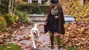 Fairmont Sonoma Mission Inn with dog