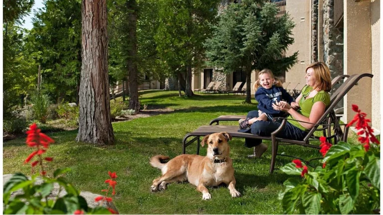 Image from Tenaya Lodge’s four-paw accommodations on DogTrekker