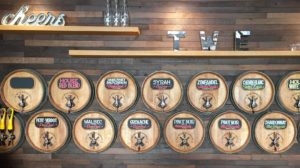 Tapped wine bottles at wine experience