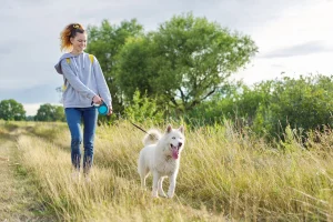 Sunol Regional Wilderness, a dog-friendly campground in Pleasant Hill, California