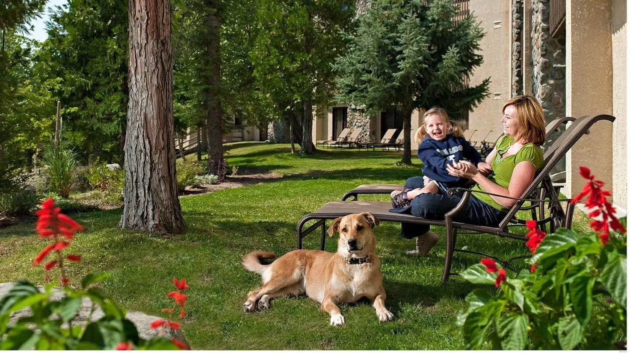 Explorer Cabins, a dog-friendly lodging in Fish Camp, California