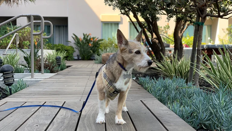 Kimpton Shorebreak Resort