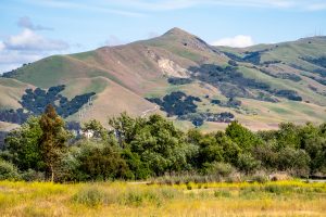 View of Mission Peak, Fremont Central Park