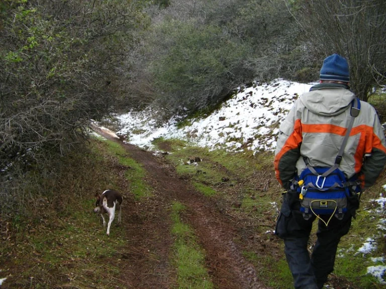 Walker Ridge – Signal