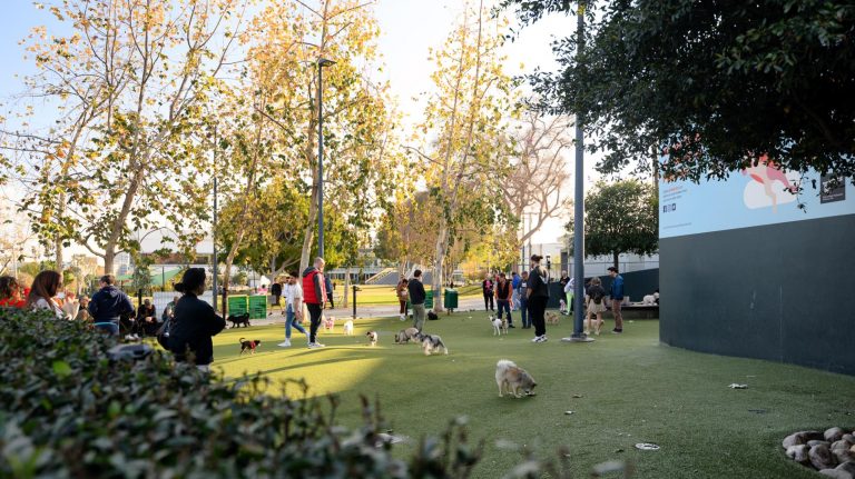 West Hollywood Park dog park