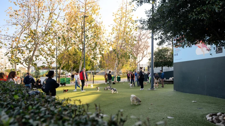 West Hollywood Park dog park