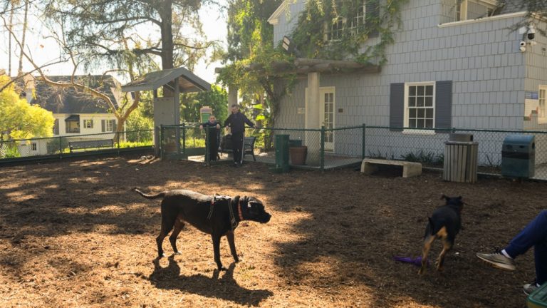 William S. Hart Off Leash park. Photo by City of West Holllywood Government.
