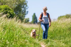 A woman in jeans and a tank top leads her dog on a leash along a wide, grassy path bordered by tall green grass and mature trees. Sunlight filters through the branches overhead, and the open trail offers space for leisurely walking. The setting is quiet except for birdsong and the sound of leaves moving in the breeze.